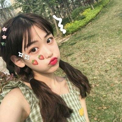 汪喵物语